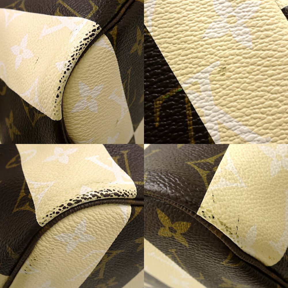 Louis Vuitton Monogram Rayleur Neverfull MM Striped Tote Bag - Picture 5 of 8